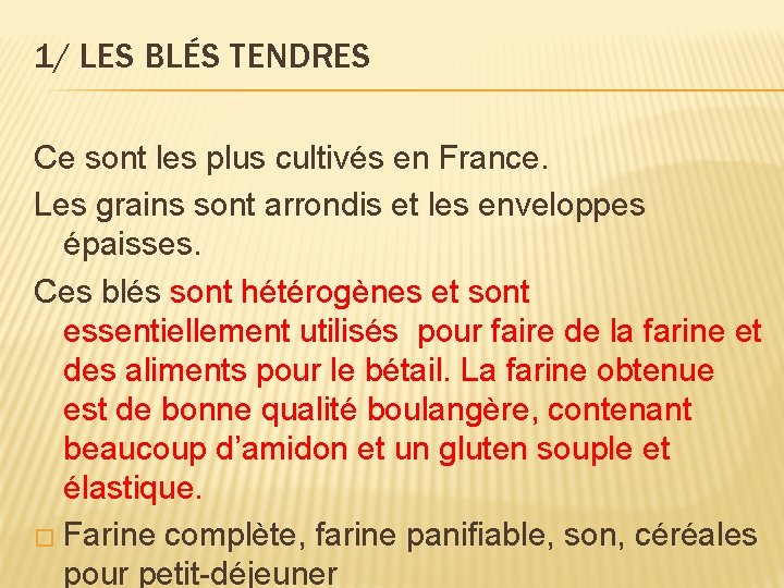 1/ LES BLÉS TENDRES Ce sont les plus cultivés en France. Les grains sont