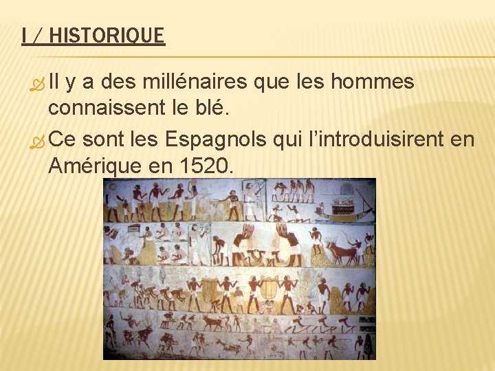 I / HISTORIQUE Il y a des millénaires que les hommes connaissent le blé.