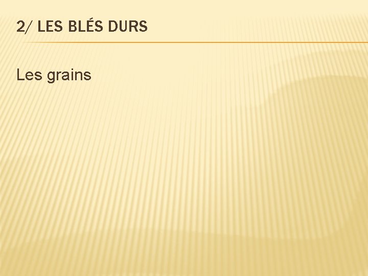 2/ LES BLÉS DURS Les grains 