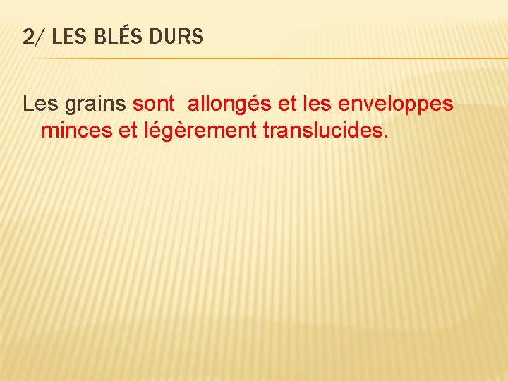 2/ LES BLÉS DURS Les grains sont allongés et les enveloppes minces et légèrement