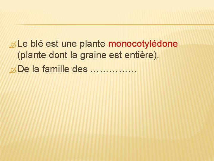  Le blé est une plante monocotylédone (plante dont la graine est entière). De