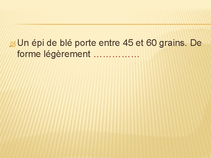  Un épi de blé porte entre 45 et 60 grains. De forme légèrement