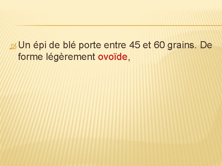  Un épi de blé porte entre 45 et 60 grains. De forme légèrement