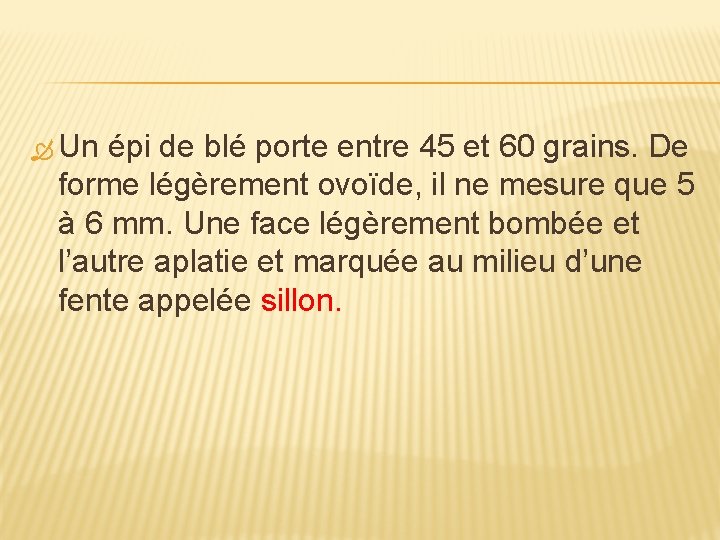  Un épi de blé porte entre 45 et 60 grains. De forme légèrement