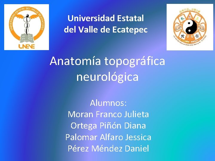 Universidad Estatal del Valle de Ecatepec Anatomía topográfica neurológica Alumnos: Moran Franco Julieta Ortega