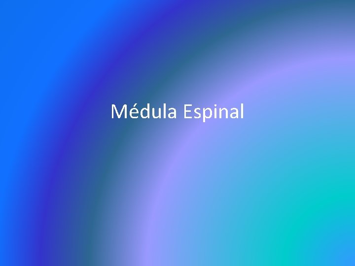 Médula Espinal 