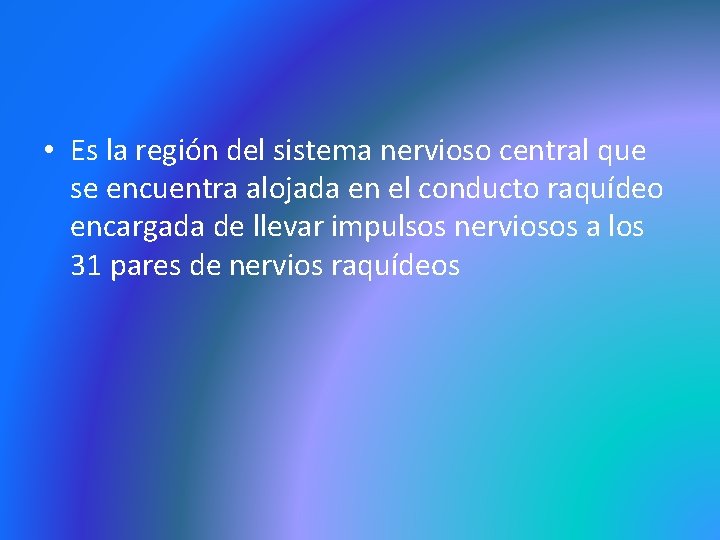  • Es la región del sistema nervioso central que se encuentra alojada en