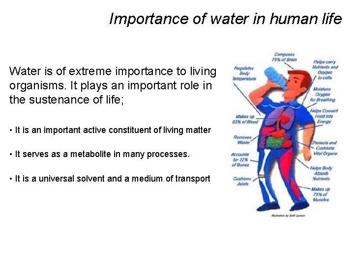 Importance of water in human life Water is of extreme importance to living organisms.
