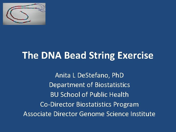 The DNA Bead String Exercise Anita L De. Stefano, Ph. D Department of Biostatistics