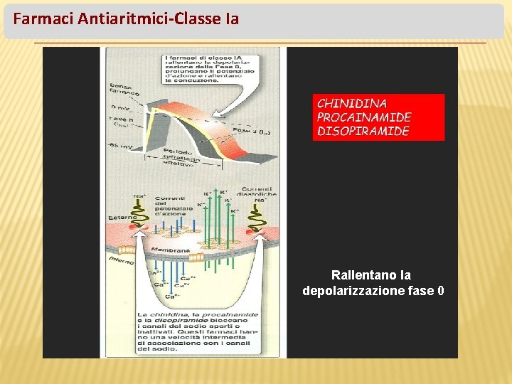 Farmaci Antiaritmici-Classe Ia Rallentano la depolarizzazione fase 0 