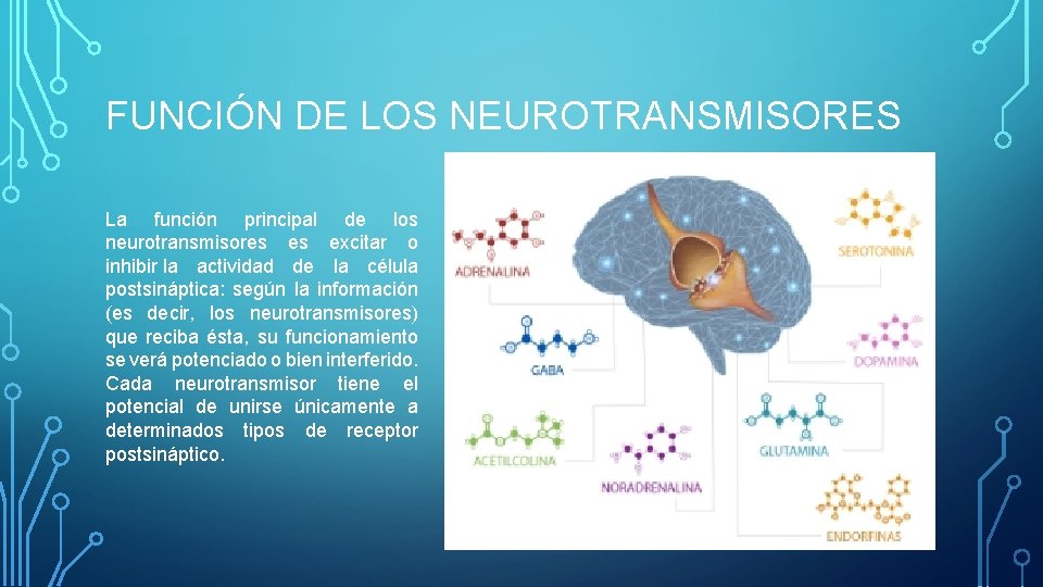 FUNCIÓN DE LOS NEUROTRANSMISORES La función principal de los neurotransmisores es excitar o inhibir FUNCIÓN DE LOS NEUROTRANSMISORES La función principal de los neurotransmisores es excitar o inhibir