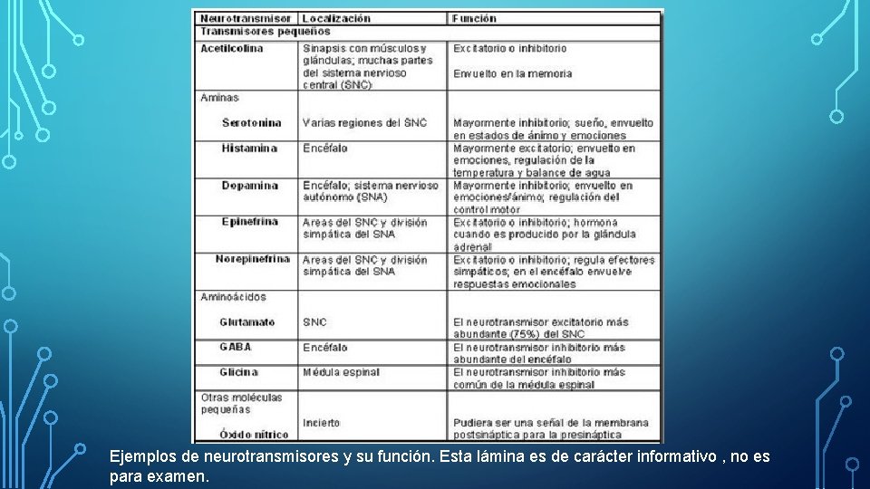 Ejemplos de neurotransmisores y su función. Esta lámina es de carácter informativo , no Ejemplos de neurotransmisores y su función. Esta lámina es de carácter informativo , no
