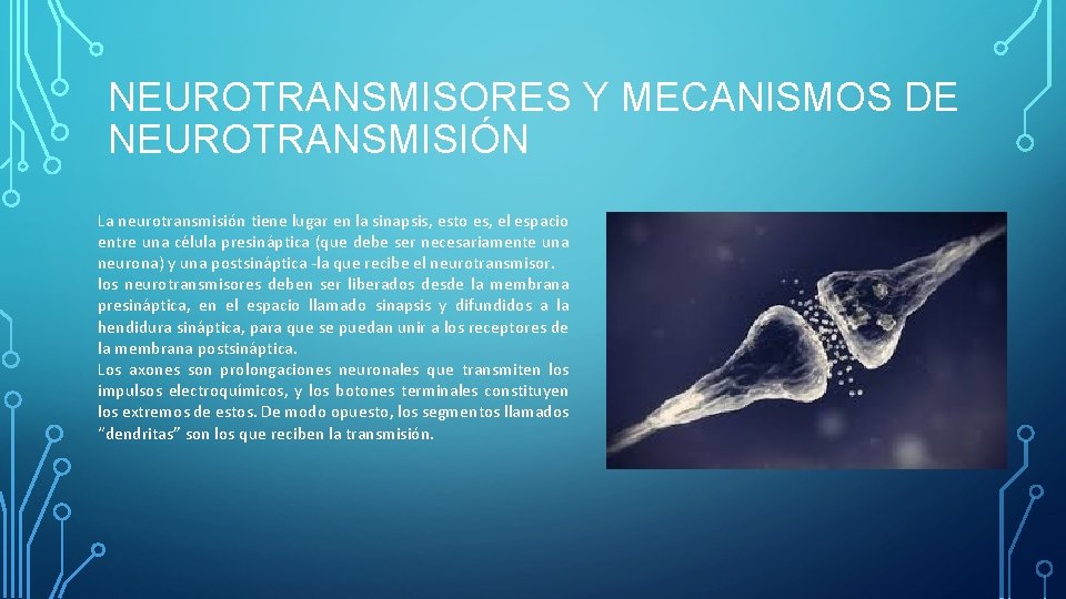 NEUROTRANSMISORES Y MECANISMOS DE NEUROTRANSMISIÓN La neurotransmisión tiene lugar en la sinapsis, esto es, NEUROTRANSMISORES Y MECANISMOS DE NEUROTRANSMISIÓN La neurotransmisión tiene lugar en la sinapsis, esto es,