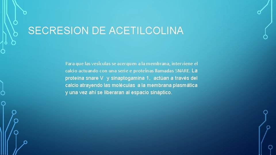 SECRESION DE ACETILCOLINA Para que las vesículas se acerquen a la membrana, interviene el SECRESION DE ACETILCOLINA Para que las vesículas se acerquen a la membrana, interviene el