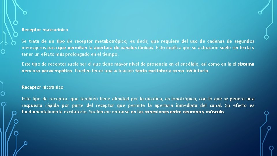 Receptor muscarínico Se trata de un tipo de receptor metabotrópico, es decir, que requiere Receptor muscarínico Se trata de un tipo de receptor metabotrópico, es decir, que requiere