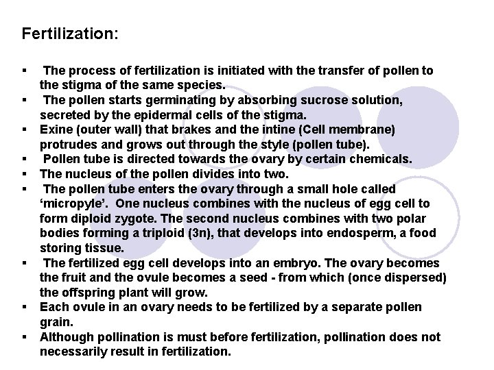 Fertilization: § § § § § The process of fertilization is initiated with the