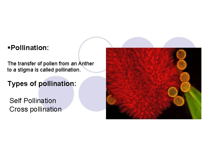 §Pollination: The transfer of pollen from an Anther to a stigma is called pollination.