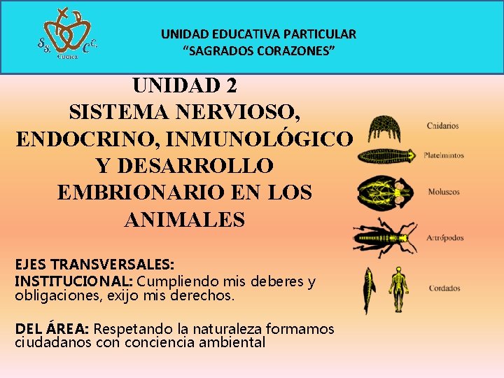 UNIDAD EDUCATIVA PARTICULAR “SAGRADOS CORAZONES” UNIDAD 2 SISTEMA NERVIOSO, ENDOCRINO, INMUNOLÓGICO Y DESARROLLO EMBRIONARIO