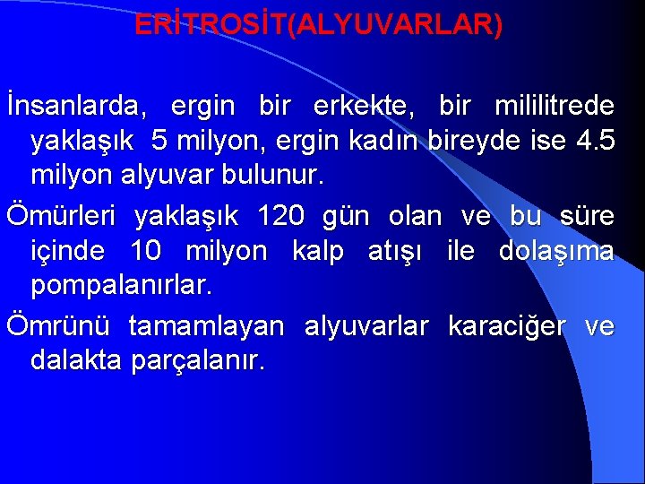 ERİTROSİT(ALYUVARLAR) İnsanlarda, ergin bir erkekte, bir mililitrede yaklaşık 5 milyon, ergin kadın bireyde ise