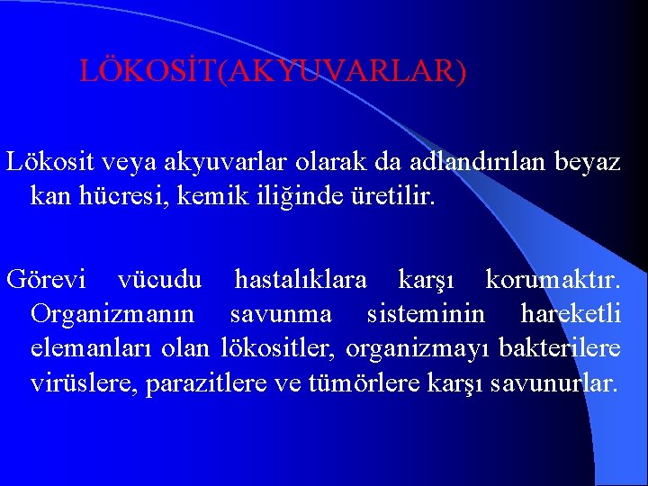 LÖKOSİT(AKYUVARLAR) Lökosit veya akyuvarlar olarak da adlandırılan beyaz kan hücresi, kemik iliğinde üretilir. Görevi