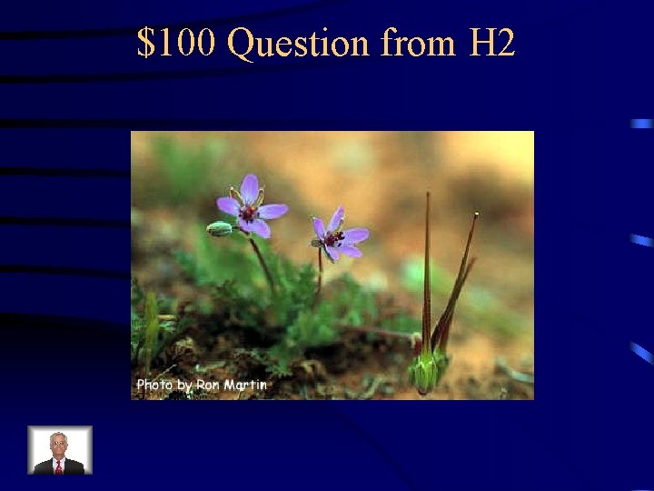 $100 Question from H 2 