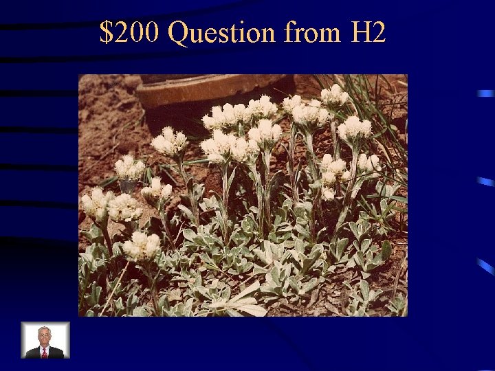 $200 Question from H 2 