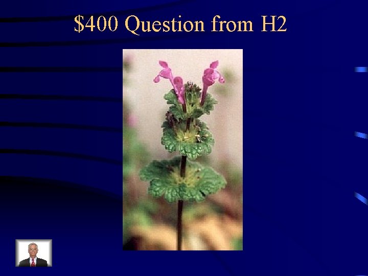 $400 Question from H 2 