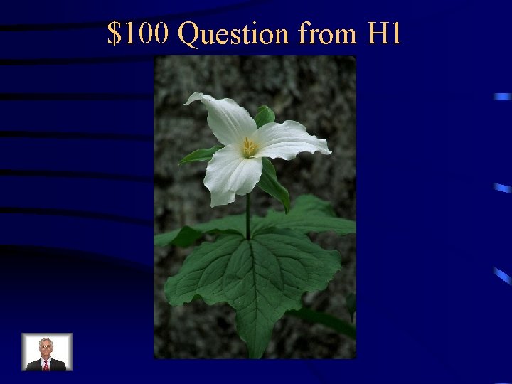 $100 Question from H 1 