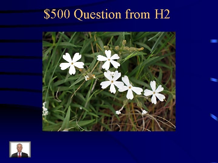 $500 Question from H 2 