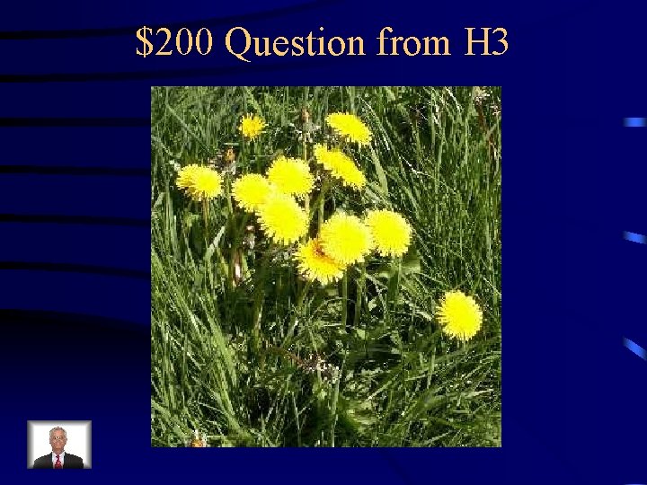 $200 Question from H 3 
