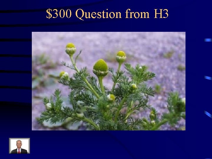 $300 Question from H 3 