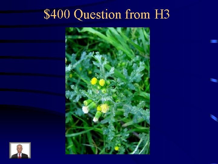 $400 Question from H 3 