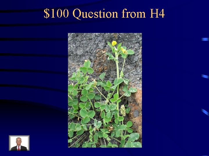 $100 Question from H 4 