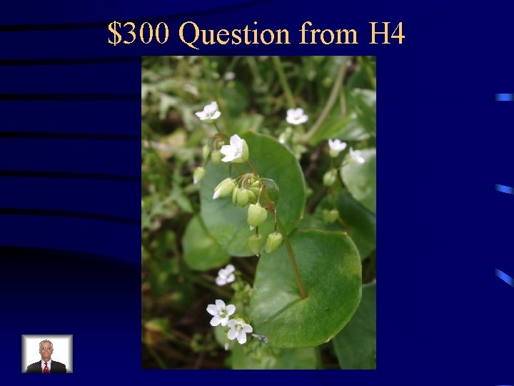 $300 Question from H 4 