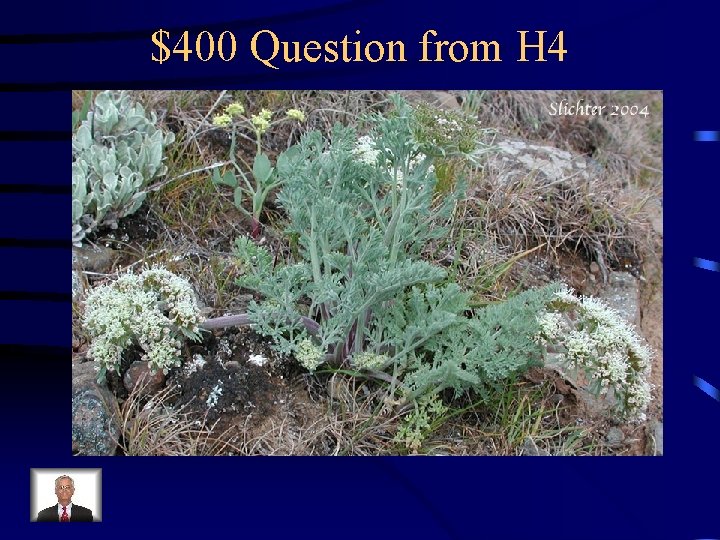 $400 Question from H 4 