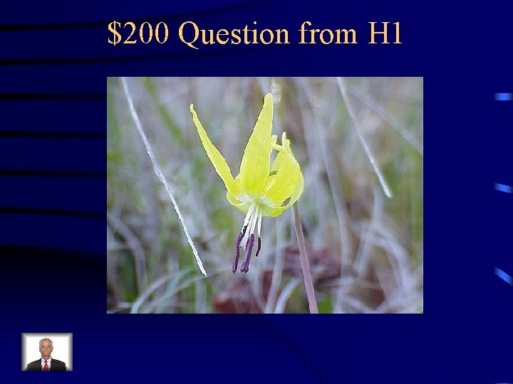 $200 Question from H 1 