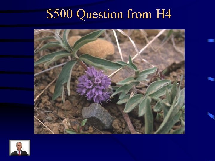 $500 Question from H 4 