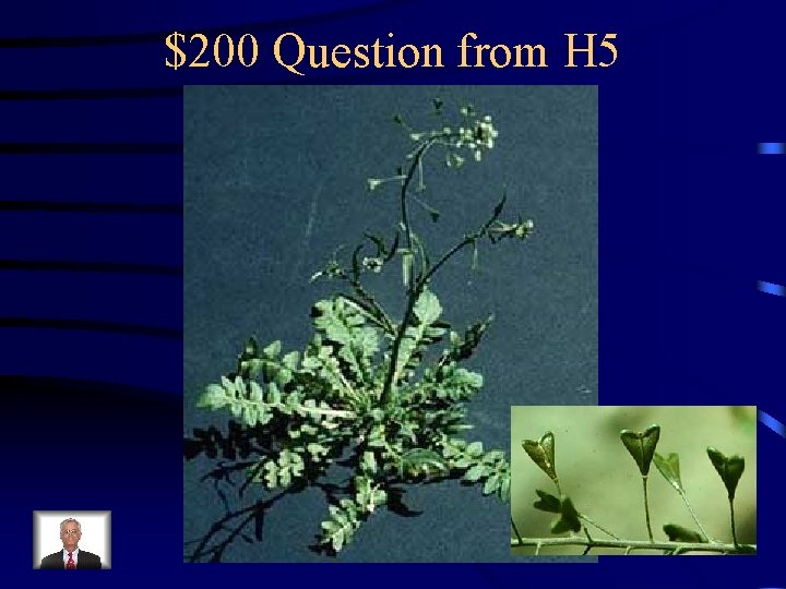 $200 Question from H 5 