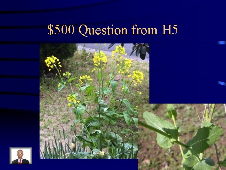 $500 Question from H 5 