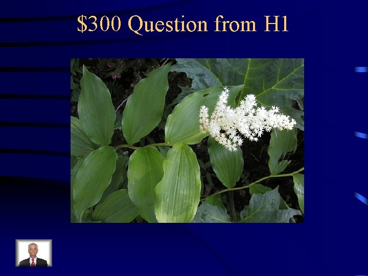 $300 Question from H 1 