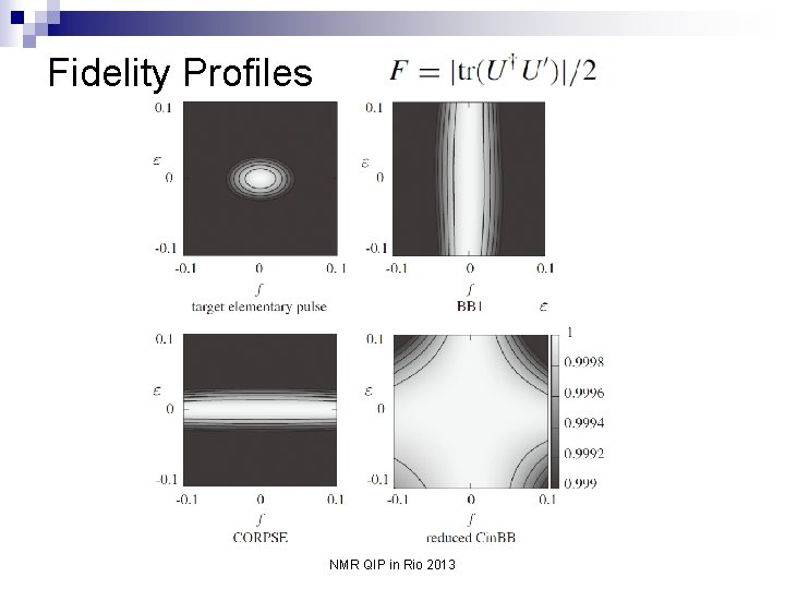 Fidelity Profiles NMR QIP in Rio 2013 