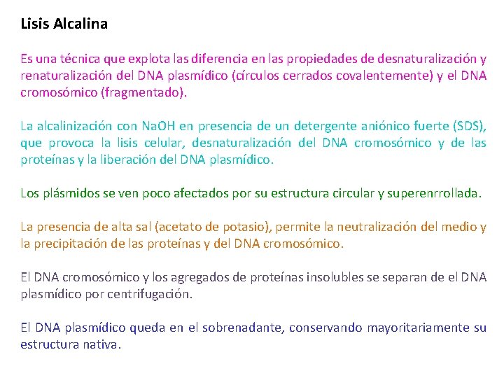 Lisis Alcalina Es una técnica que explota las diferencia en las propiedades de desnaturalización