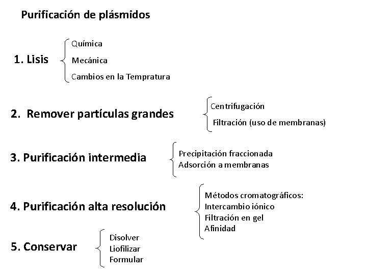 Purificación de plásmidos Química 1. Lisis Mecánica Cambios en la Tempratura 2. Remover partículas