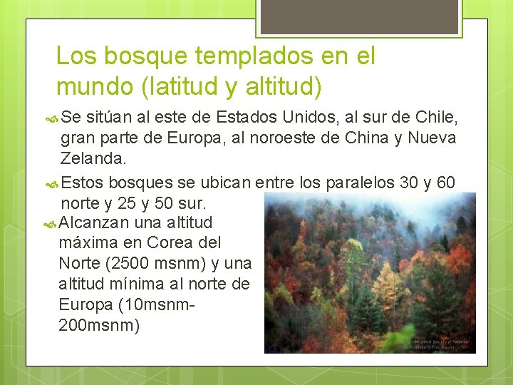 Los bosque templados en el mundo (latitud y altitud) Se sitúan al este de