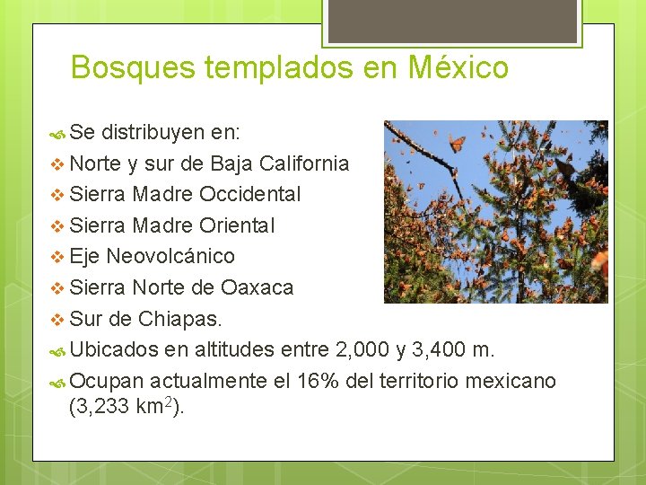 Bosques templados en México Se distribuyen en: v Norte y sur de Baja California