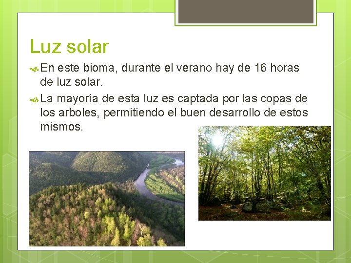 Luz solar En este bioma, durante el verano hay de 16 horas de luz