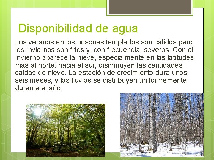 Disponibilidad de agua Los veranos en los bosques templados son cálidos pero los inviernos