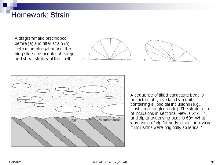 Homework: Strain A diagrammatic brachiopod before (a) and after strain (b). Determine elongation e