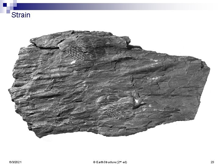 Strain 6/3/2021 © Earth. Structure (2 nd ed) 23 