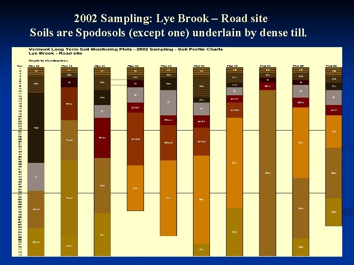 2002 Sampling: Lye Brook – Road site Soils are Spodosols (except one) underlain by